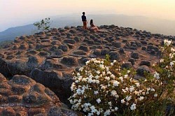 ภูหินร่องกล้า